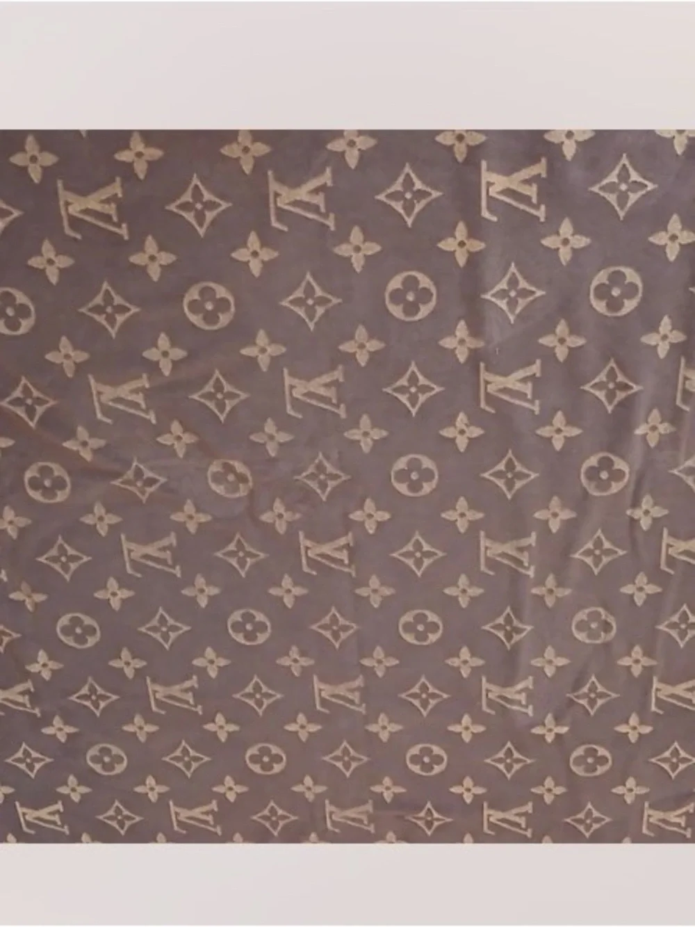 Louis Vuitton MonogramCotton Towel Reversible